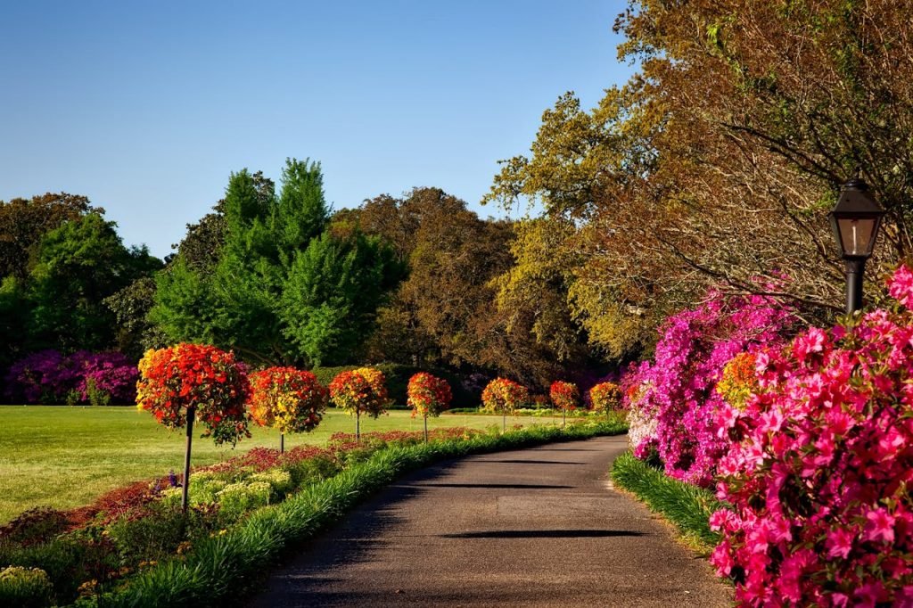 mantenimiento de jardines Málaga