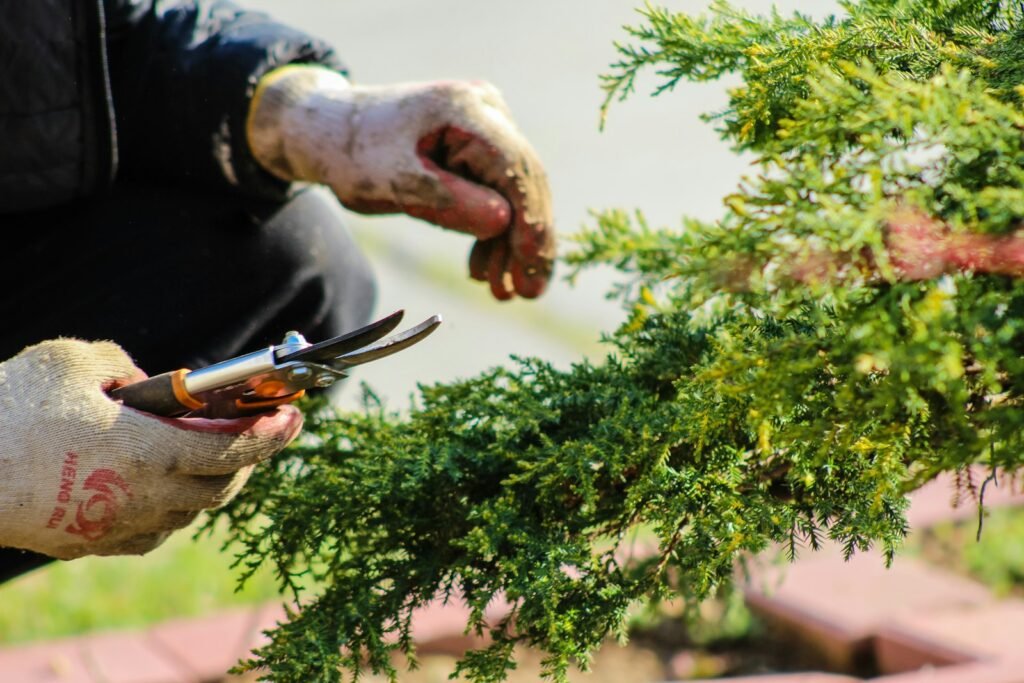 Contactar con Jardinería Ferreira